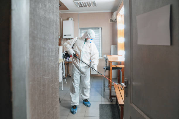 Best Water Damage & Mold Remediation  in Springdale, SC