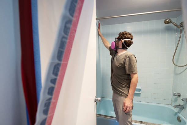 Best Biohazard Mold Removal  in Springdale, SC